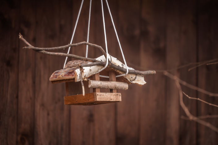 Zuhause. Lebens-Räume für viele schaffen. EIn Vogelhäuschen. Ein Zuhause. LebensRäume für viele schaffen.