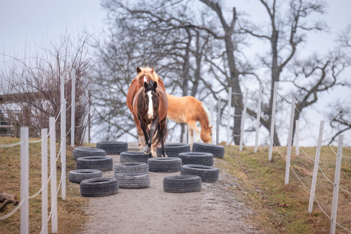 Propriozeptives Training. Selbstverständlich. Im Alltag integriert. Propriozeptives Training. Selbstverständlich. Im Alltag integriert.