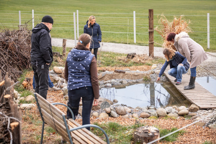 Ein Teich – mehr als eine Badestelle: Ein Lebens-Raum Ein Teich - mehr als eine Badestelle: Ein Lebensraum für Molche, Frösche und viele mehr