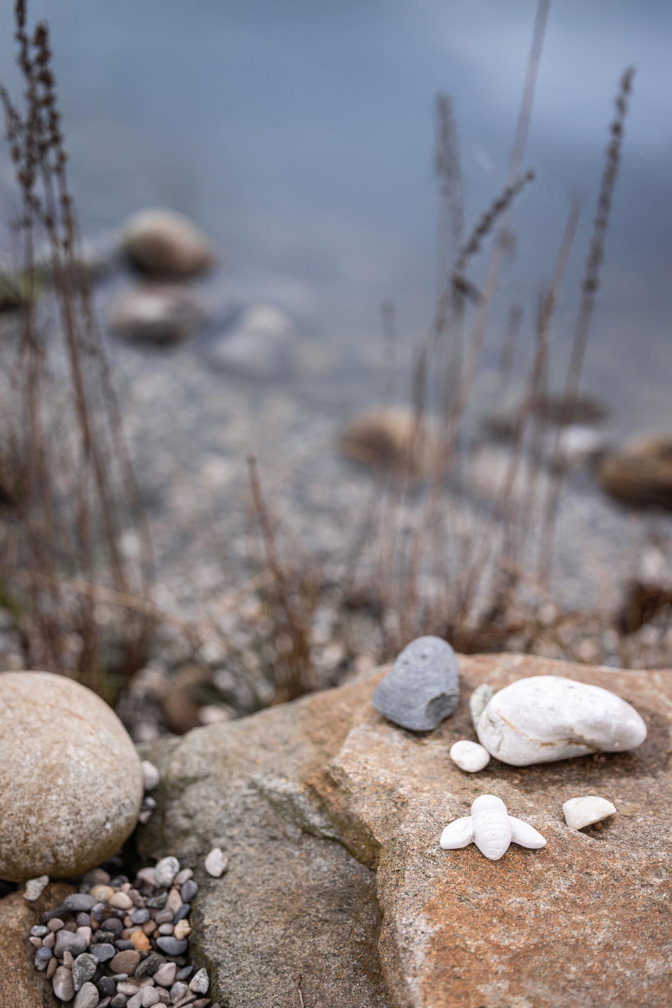 Wohlfühlen - in jedem Detail Ein wie eine Biene geformter Stein am Rand des Teichs - weil es auf die Details ankommt