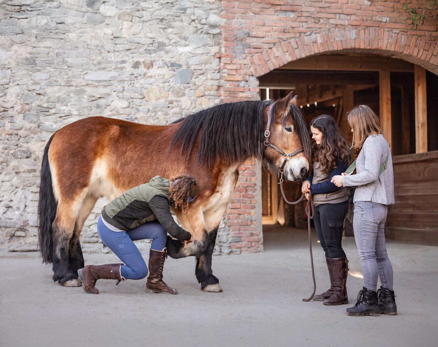 Pferde wollen artgerecht - Conny Hutter, BestTUPferd Beraterin für Stallbetreiber und Pferdebesitzer Conny Hutter mit Physiotherapeutin und Pferdetrainerin am Pferd
